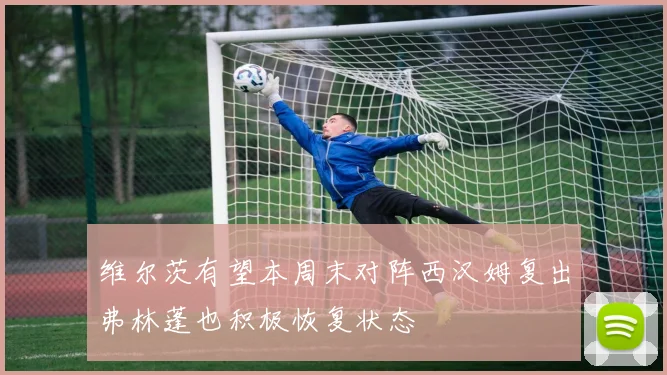 维尔茨有望本周末对阵西汉姆复出弗林蓬也积极恢复状态